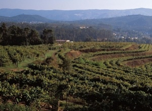 阿尔巴利诺花岗岩