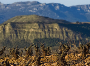 里奥哈（Rioja）