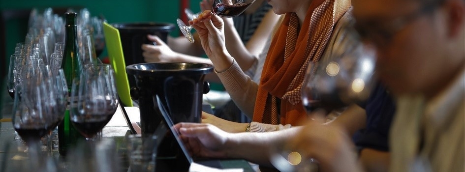 Wines from Spain Educators