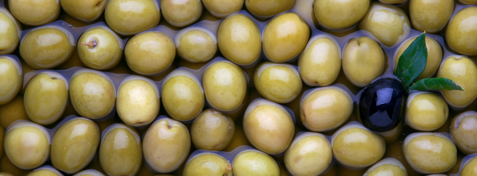 Wines from Spain's Product Spotlight