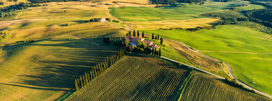 西班牙葡萄酒学院
