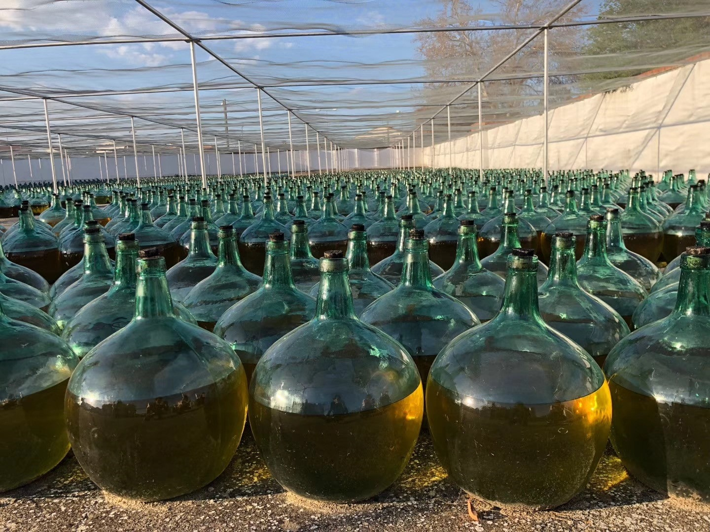 Visiting Wine Wineries