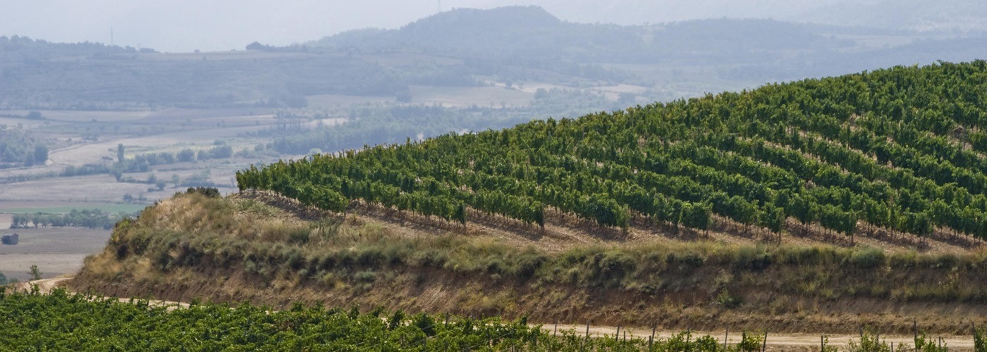索蒙塔诺葡萄酒庄园